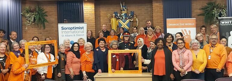 OTW St Albans Council Chamber Group 25 Nov