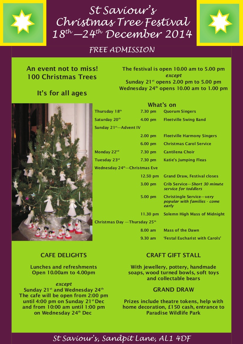 Soroptimist Christmas Tree News Blog Events SI St Albans and District