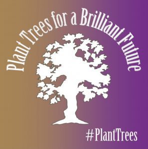 Plant Trees for a Brilliant Future logo