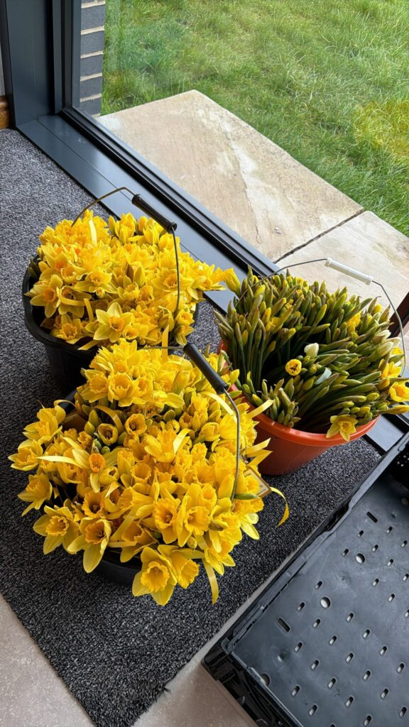 International Women's Day