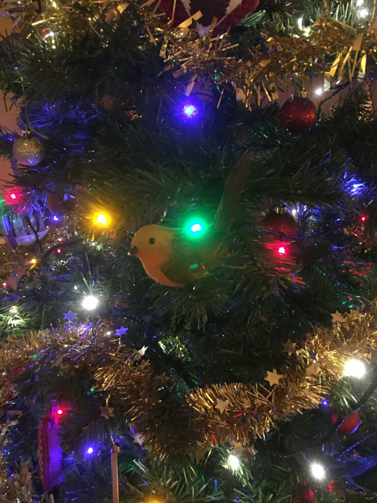 Christmas is coming!