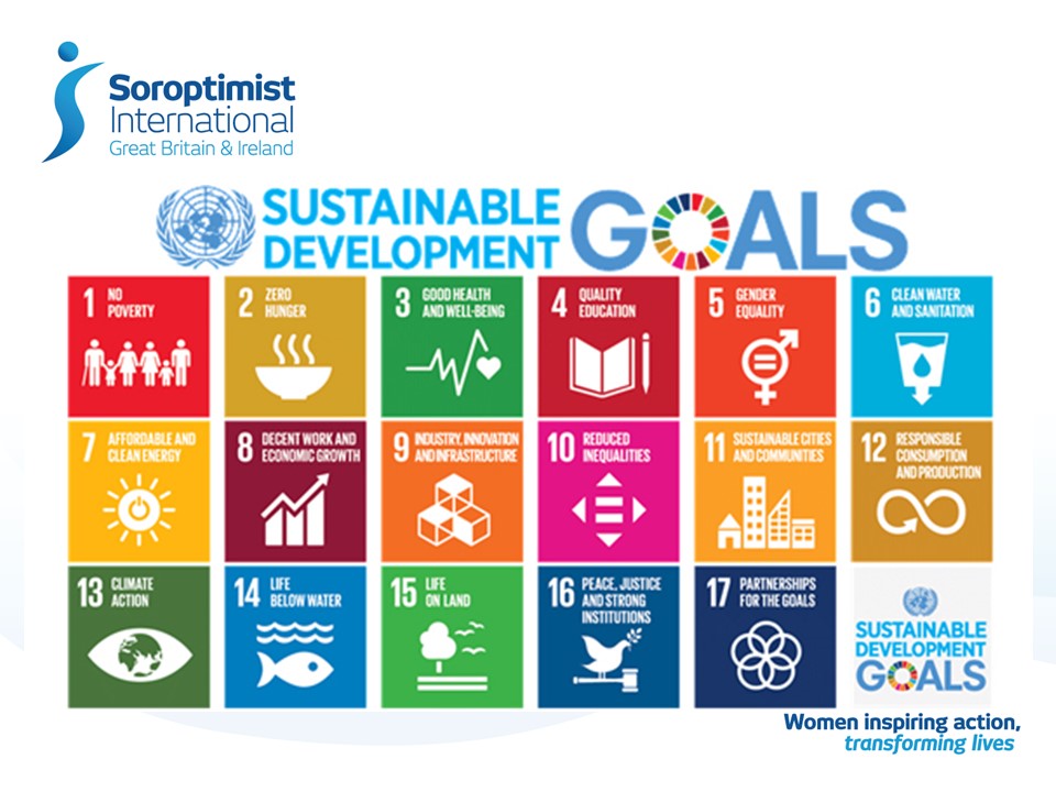 SDGs