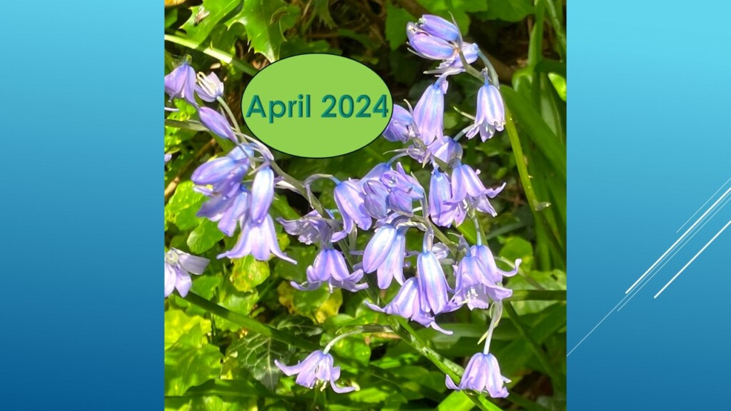 April 2024 - New Soroptimist Year - Your Sanctuary - Victims of Abuse -