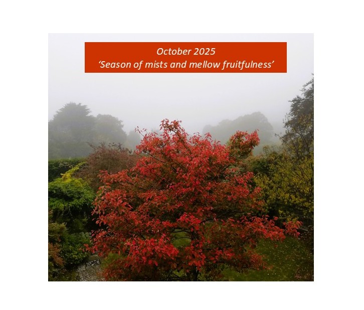 October 2025 - Bridge Tea - Eikon Surrey - Knitting