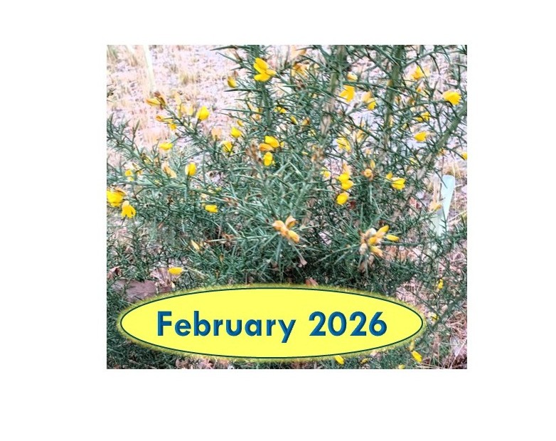 February 2026 - Rising to the Challenge